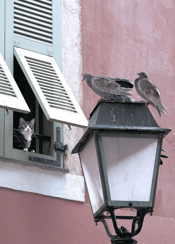 开云入口-世界篮球节：NBA携手国际合作共促体育文化交流，篮球世界友谊赛赛程