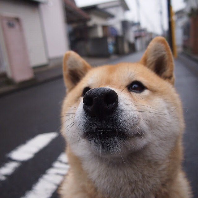 特色篮球交流赛在多国举行，推动中国体育“走出去”战略落实，篮球特色项目
