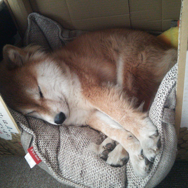 迈阿密热火“铁血组合”默契配合，冲刺季后赛佳绩，迈阿密热火吧