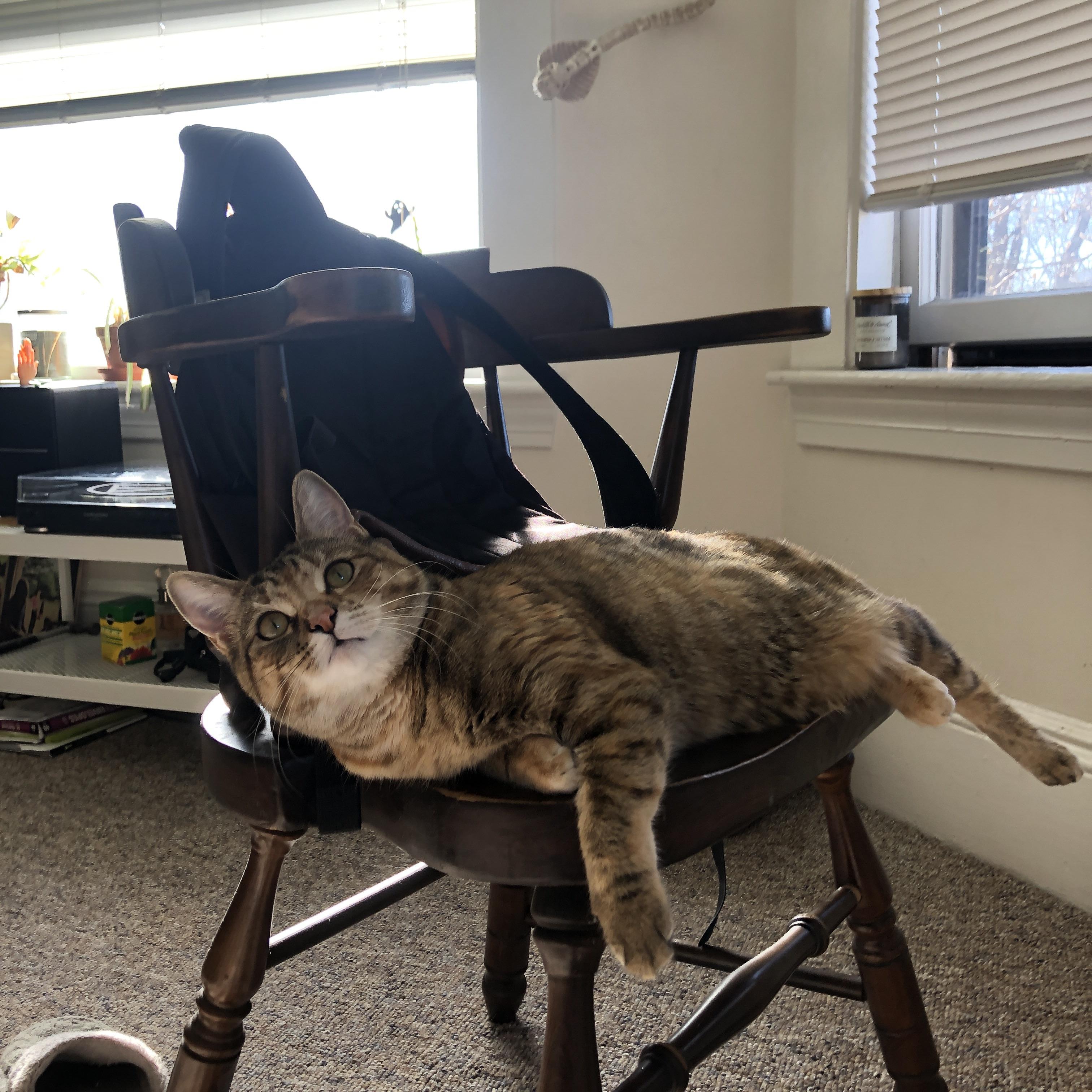 上海海港防守表现稳固，上海海港阵型