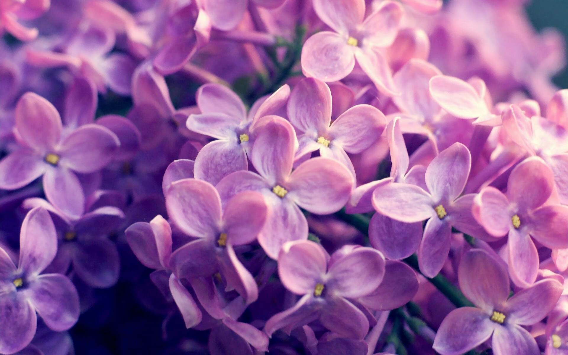 中超榜首大战落幕，海港与申花握手言和，中超海港比赛时间