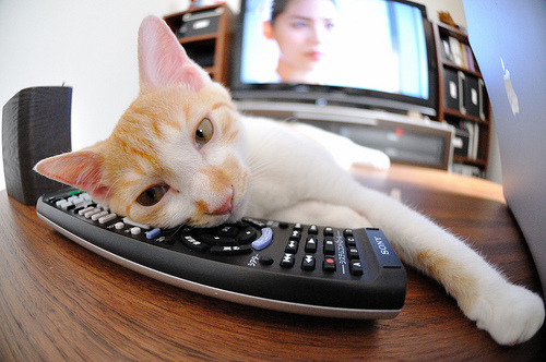 内蒙古队球员在比赛中取得令人意外胜利，内蒙古球员nba