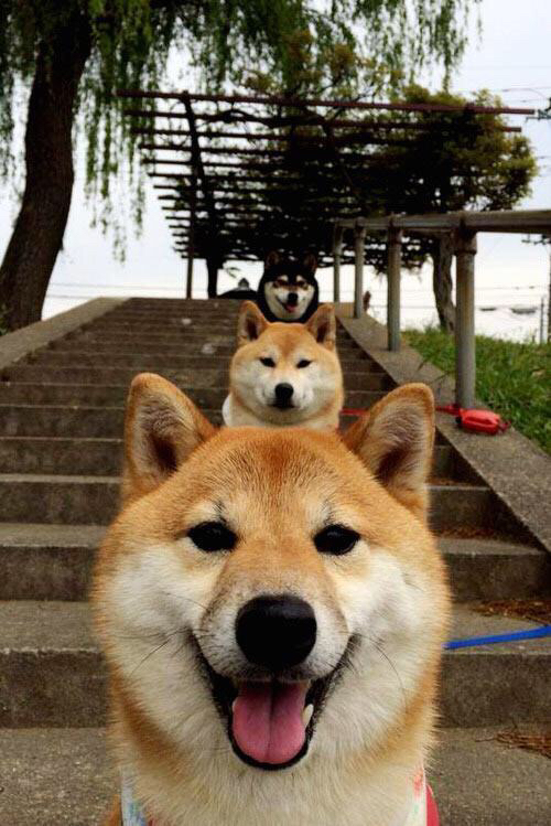 国足备战热身赛,紧张临战状态,国足备战热身赛,紧张临战状态怎么样