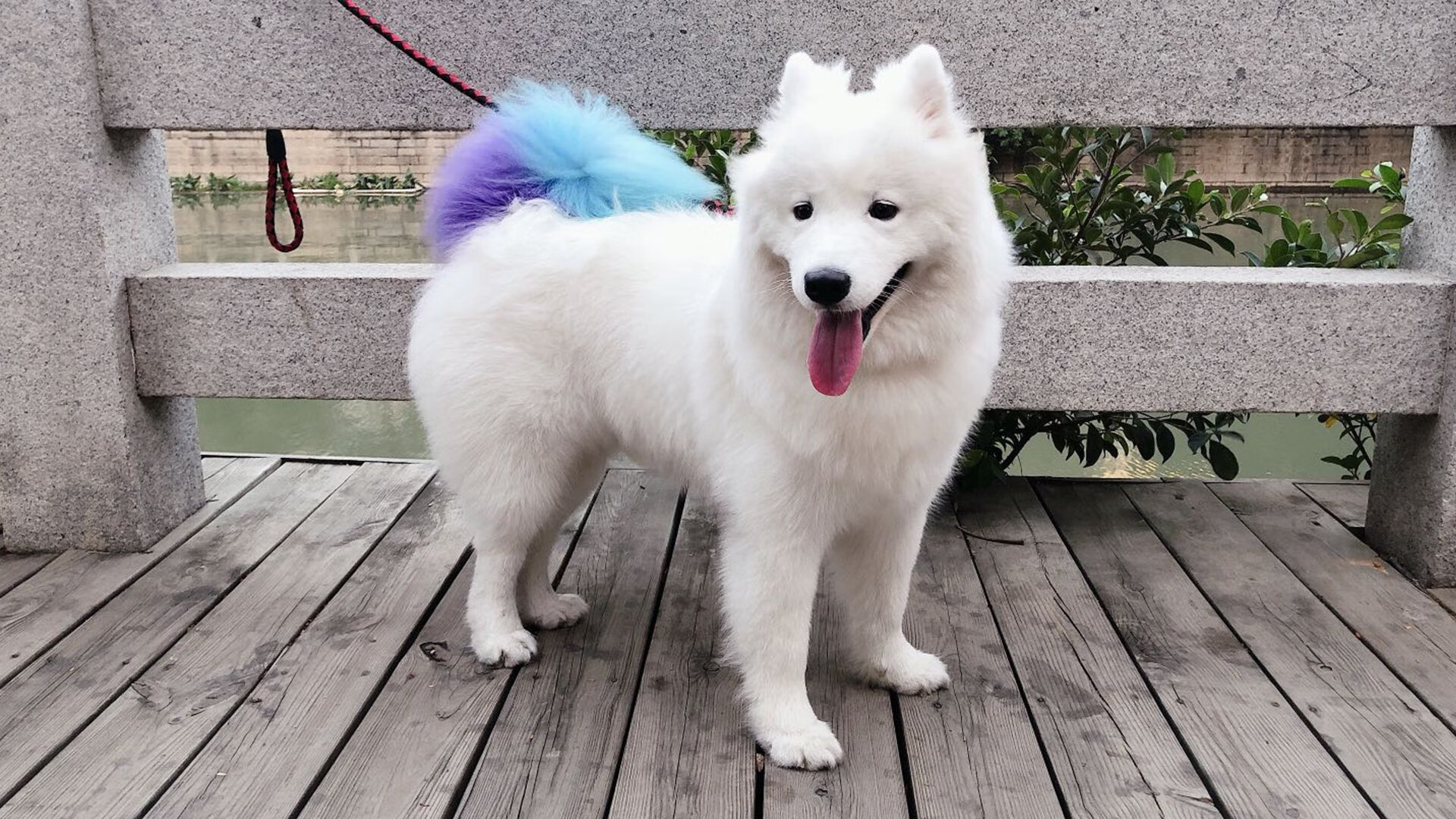 国足青年球员海外留洋效果显著，国足十大留洋球员