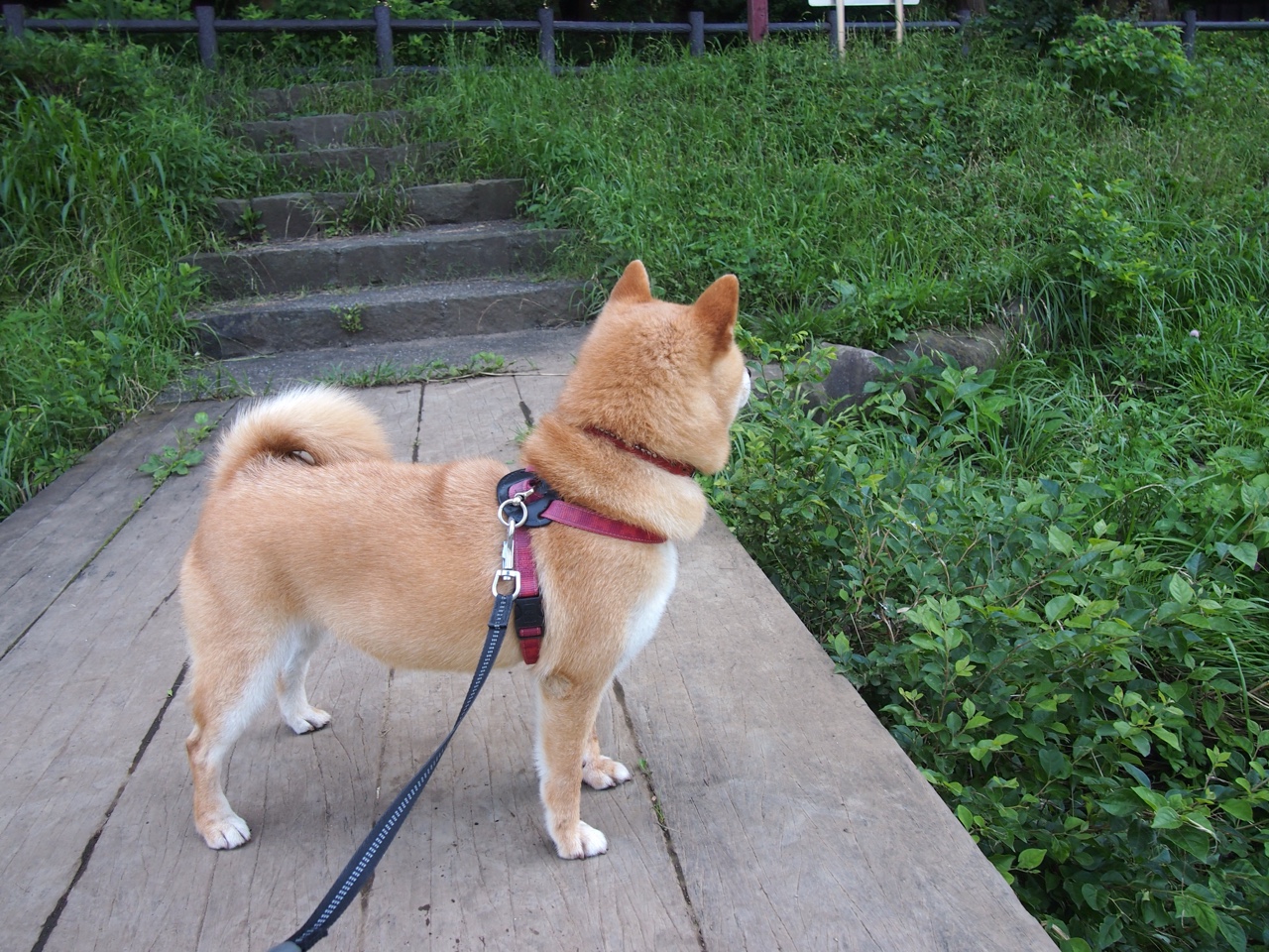 国足青年球员海外留洋效果显著，国足十大留洋球员