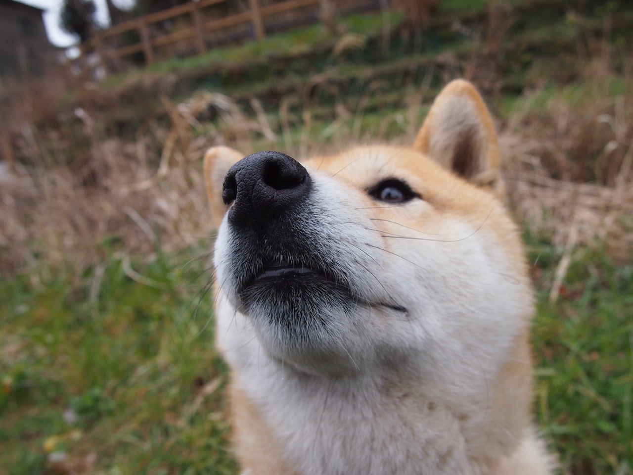 Kaiyun APP-巴萨是否该重新审视控球战术的效率，巴萨回应