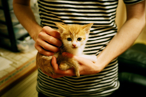 巴塞罗那主场2-0战胜赫塔费，取得胜利，巴塞罗那赛场