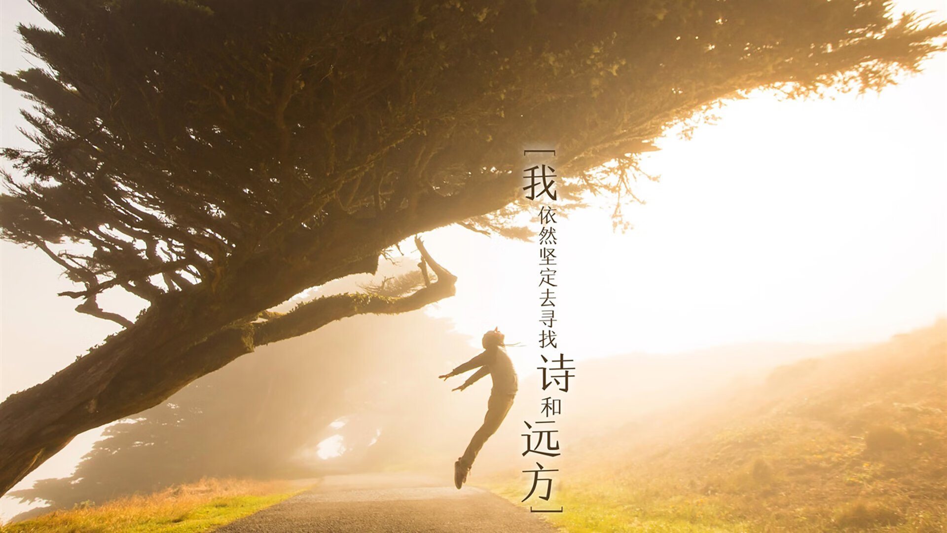 瓜达拉哈拉签约新外援,增强防守实力,瓜达拉哈拉是哪里