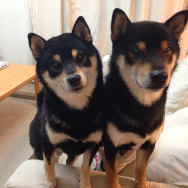 开云官网-瑞士队在比赛场上展现出出色的防守表现，瑞士队的打法