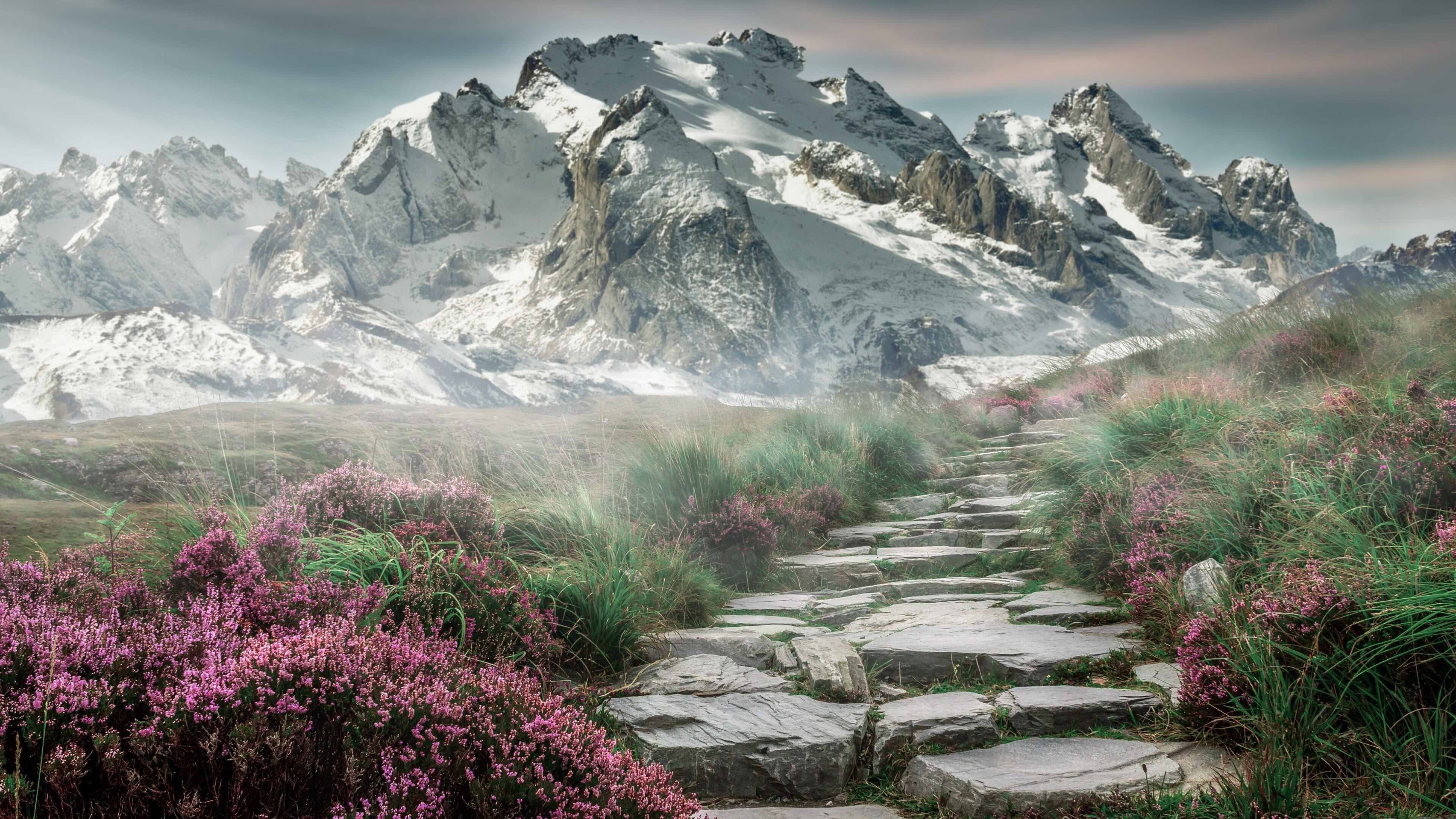 Kaiyun(中国)开云-瑞士队主场平局，欧洲杯出线形势严峻，瑞士欧洲杯战况