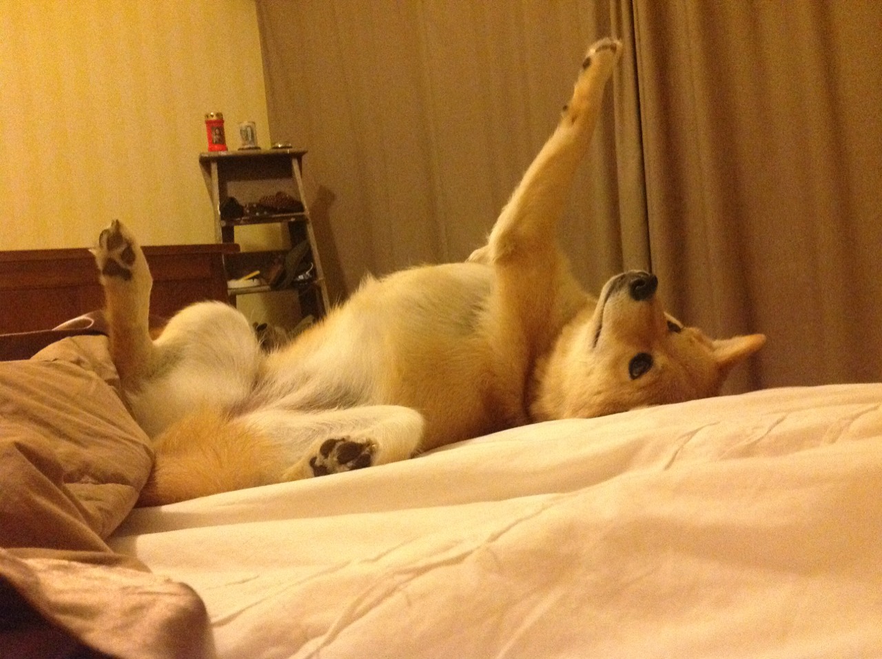 kaiyun.com-索肖后防阵容争议，主教练或将做出调整，索肖vs第戎直播