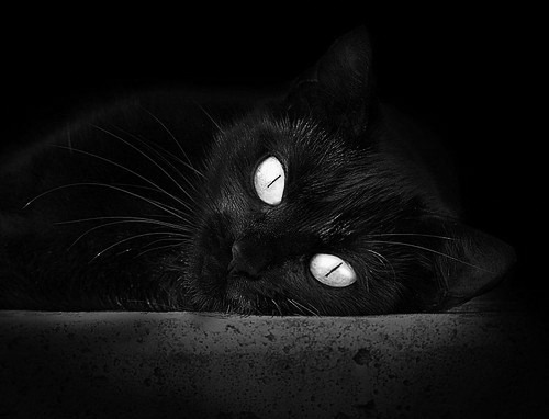 罗马对阵那不勒斯,谁能拔得头筹,罗马vs那不勒斯直播