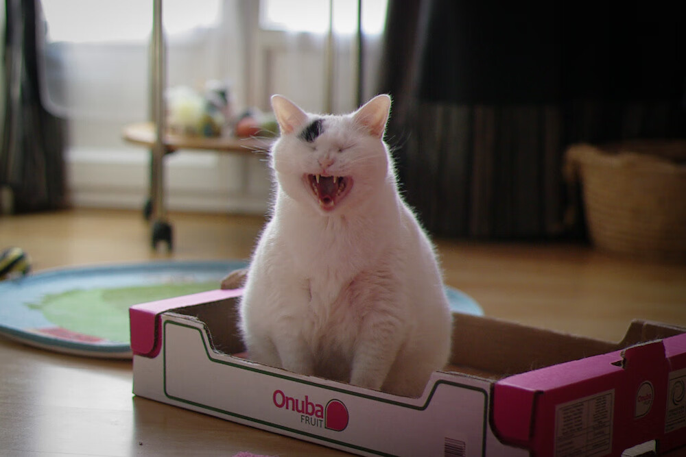 开云体育APP下载-陕西西部队全力以赴，英勇奋战获得比赛胜利，陕西总队训练基地