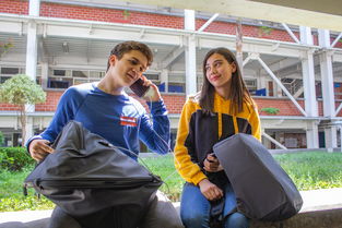 Kaiyun APP-世界青少年攀岩技能大赛在上海盛大举行，众少年展风采，2020年全国青少年攀岩锦标赛