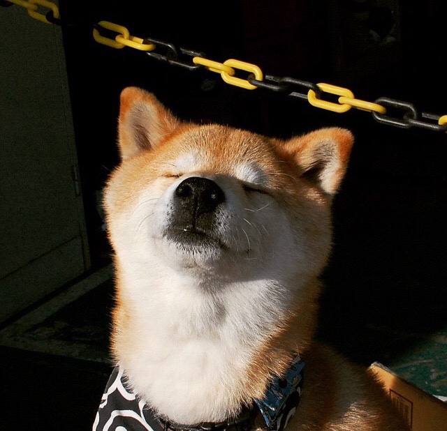 kaiyun登录入口-中国足球各级别教练执教风格雷达图，中国足球教练组成员