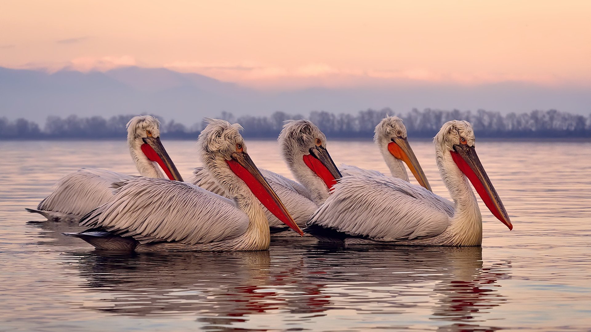 英超球队引入数据可视化战术布置系统,英超联赛特性及大数据精细汇总