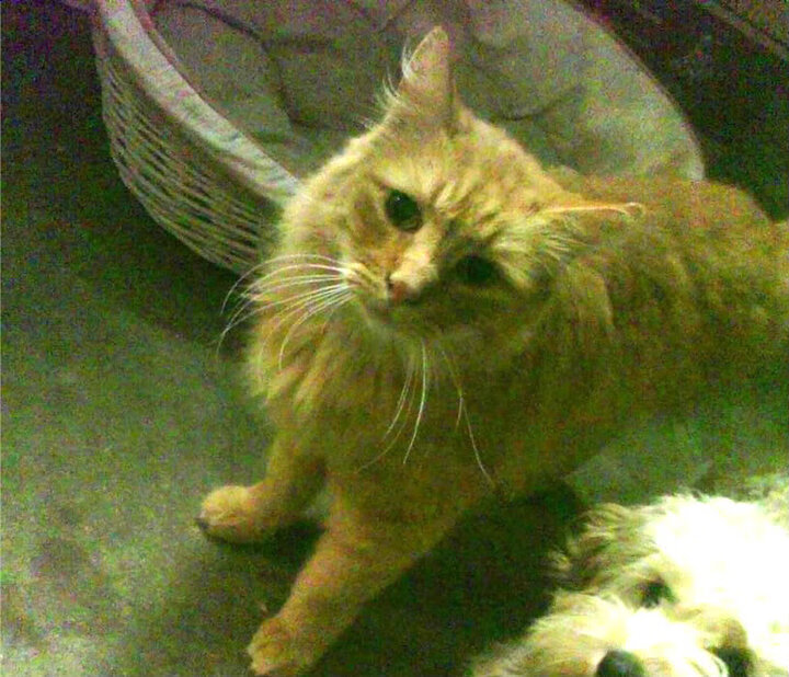 开云官网-恩波利防守压迫性增强控制比赛节奏，恩波利亚