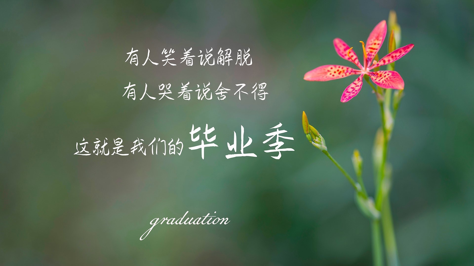 球员伤愈复出状态良好训练中展现积极态度与稳定发挥,球队伤病