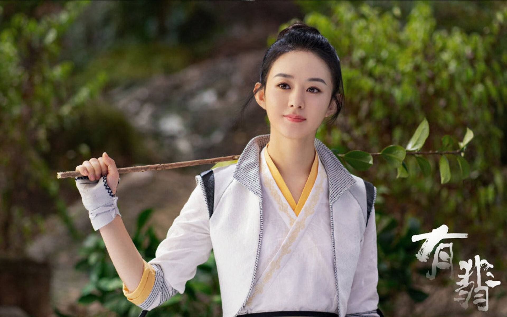 美洲杯激情燃烧:逆境中拼搏的精彩篇章,美洲杯锦集