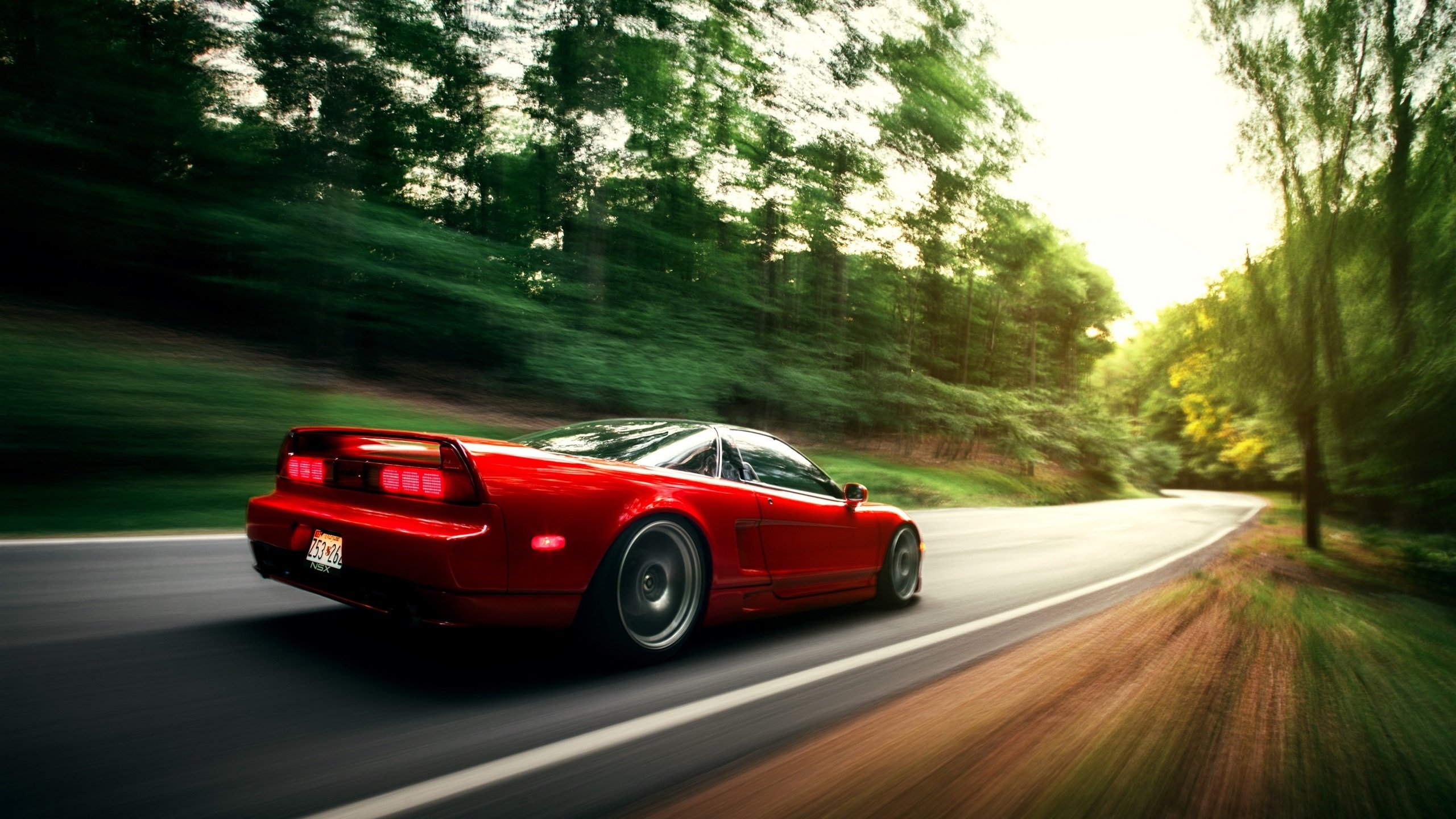 自由泳个人赛朝鲜新星异军突起，自由泳比赛视频 高清