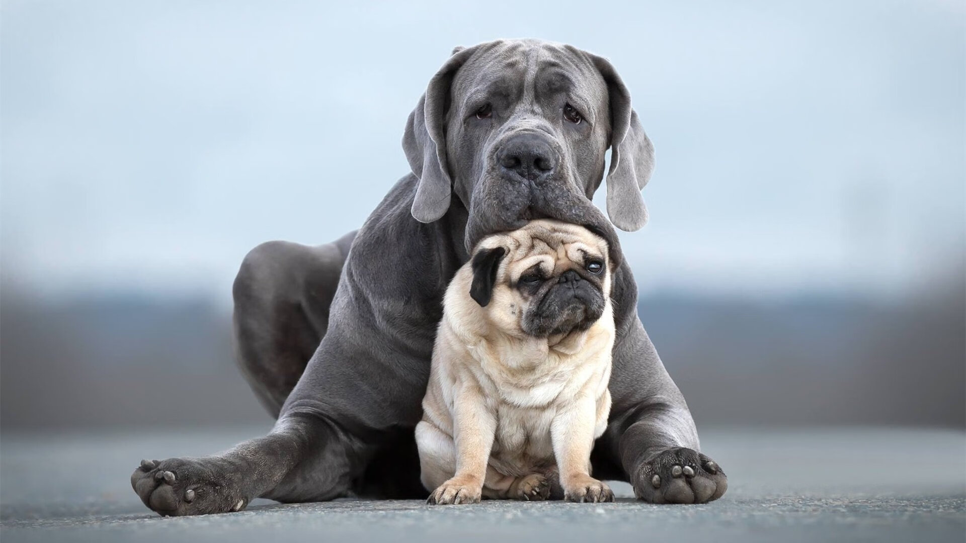 贾瓦迪表现稳健 带动突尼斯泳坛热度,ht贾瓦人