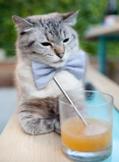 开云入口-黄蜂队内举行趣味挑战赛增强队友之间互动，黄蜂队全称