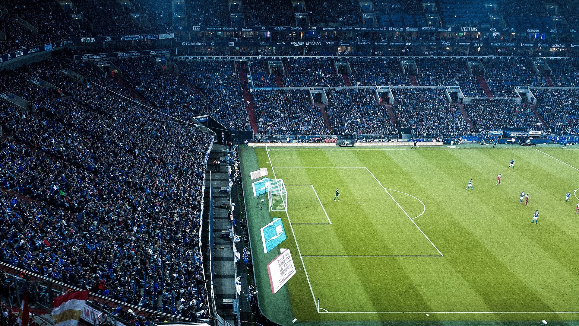 开云官方网页登录-野外露营探险赛：运动与自然的融合，露营挑战